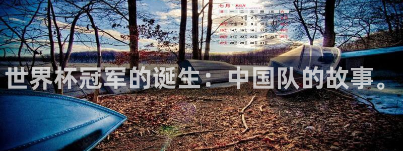 世界杯决赛直播:世界杯冠军的诞生:中国队的故事。