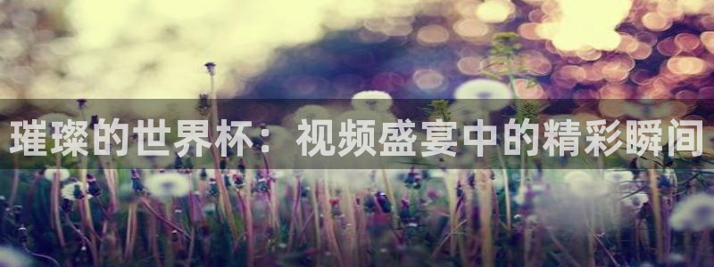 2026年世界杯时间表:璀璨的世界杯:视频盛宴中的精彩瞬间
