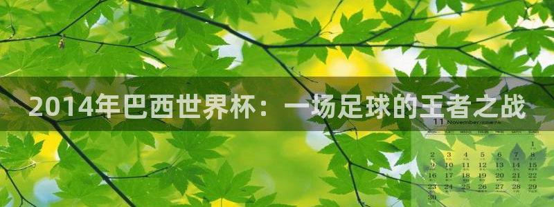 世预赛欧洲赛程表:2014年巴西世界杯:一场足球的王者之战