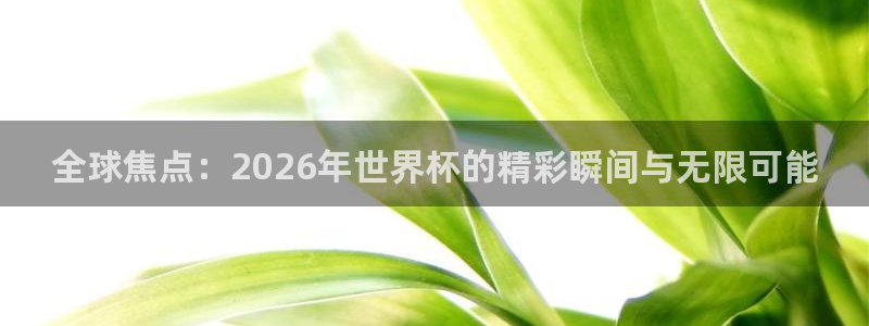 世界杯预选赛欧洲:全球焦点:2026年世界杯的精彩瞬间与无限可能