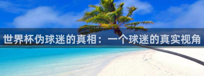 2026世界杯赛程表完整版:世界杯伪球迷的真相:一个球迷的真实视角