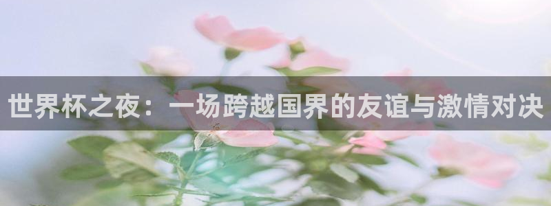 世界杯预选赛2026:世界杯之夜:一场跨越国界的友谊与激情对决