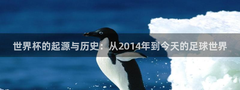 世界杯预选赛亚洲区赛程:世界杯的起源与历史:从2014年到今天的足球世界