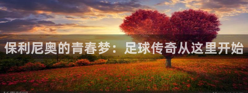 世界杯欧洲区预选赛:保利尼奥的青春梦:足球传奇从这里开始